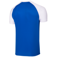 Футболка футбольная JFT-1011-071, синий/белый, детская