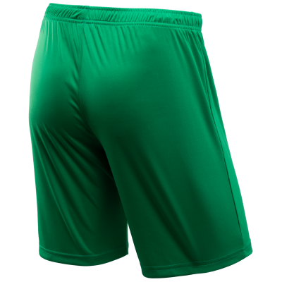 Шорты игровые CAMP Classic Shorts JFT-1120-031, зеленый/белый