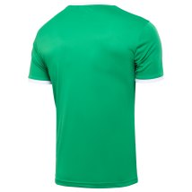 Футболка футбольная CAMP Origin JFT-1020-031-K, зеленый/белый, детская