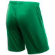 Шорты игровые CAMP Classic Shorts JFS-1120-031-K, зеленый/белый, детские